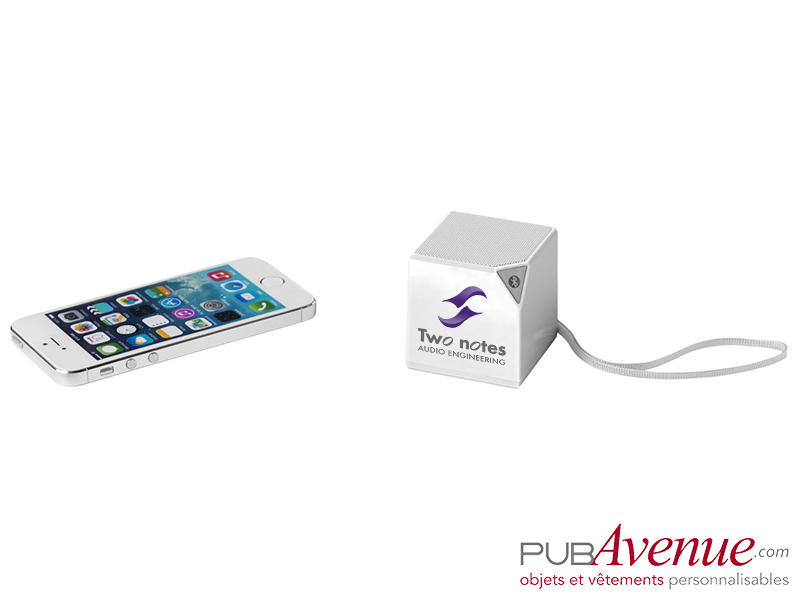 Haut-parleur micro intégré personnalisé Haut-parleur micro intégré personnalisé