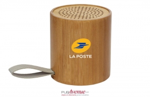 Haut-parleur bambou enceinte avec batterie intégrée