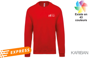 Sweat-shirt col rond unisexe personnalisé express livraison rapide 