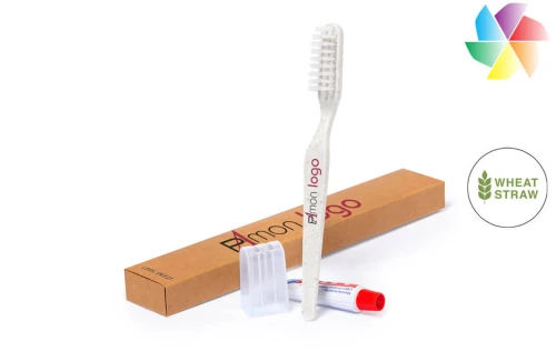 Kit dentaire publicitaire personnalisé set brosse à dents et dentifrice 