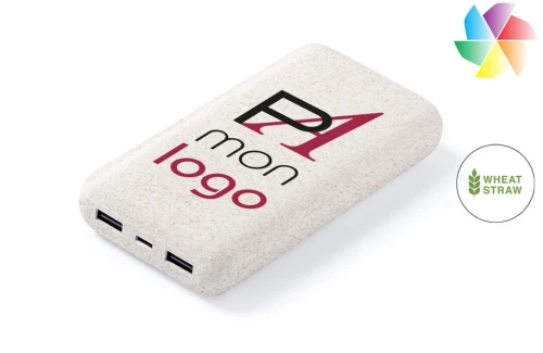 Batterie externe 20 000 mAh powerbank publicitaire personnalisé Golblum 