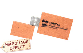 Clé USB en papier recyclé biodégradable publicitaire personnalisée pas cher 