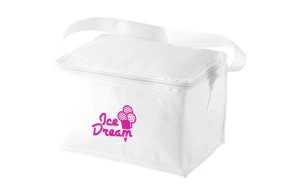 Sac isotherme personnalisé en plastique PP non tissé Spectrum