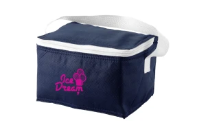 Sac isotherme personnalisé en plastique PP non tissé Spectrum