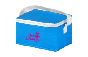 Sac isotherme personnalisé en plastique PP non tissé Spectrum
