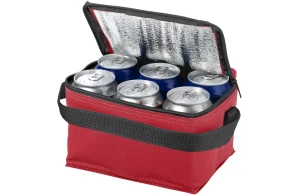Sac isotherme personnalisé en plastique PP non tissé Spectrum