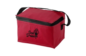 Sac isotherme personnalisé en plastique PP non tissé Spectrum