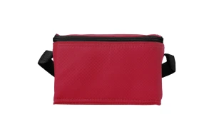 Sac isotherme personnalisé en plastique PP non tissé Spectrum