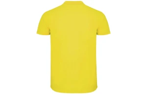 Polo personnalisé Roly Star couleur pour homme