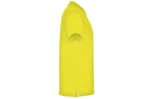 Polo personnalisé Roly Star couleur pour homme