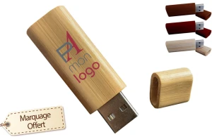 Clé USB personnalisée premium en bois recyclé