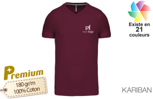 Tee-shirt col V prestige kariban pour homme