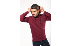 Sweat à capuche pour homme