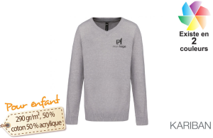 Pull Personnalisable - Sweat-Shirt à Manches Longues à Manches Longues pour  Femmes en Automne et en Hiver Gilet Capuche : : Mode