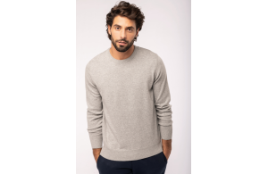 Pull col rond bio écoresponsable pour homme