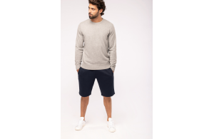 Pull col rond bio écoresponsable pour homme