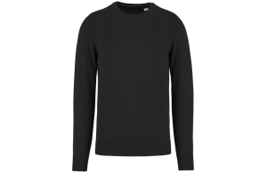 Pull col rond bio écoresponsable pour homme