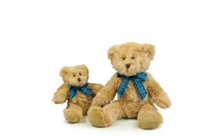 Peluche ours Bracken avec un ruban bleu autour du cou